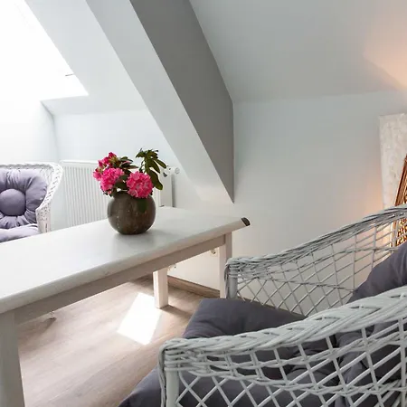 مكان تخييم Seenlandoase Reppist