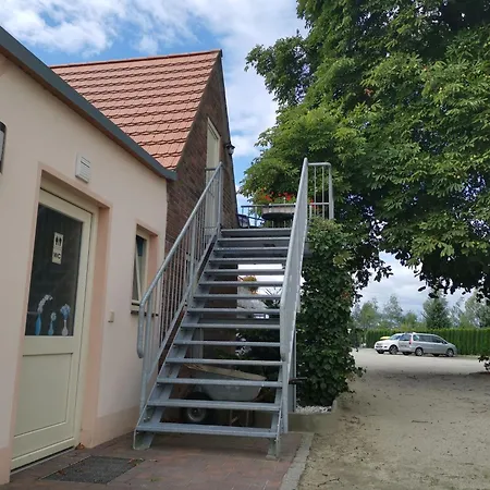 Seenlandoase Reppist 4*