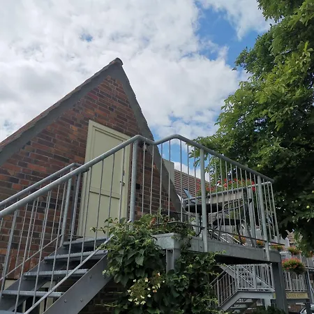 Camping Seenlandoase Reppist Senftenberg