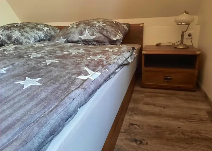 Seenlandoase Reppist 4* Senftenberg