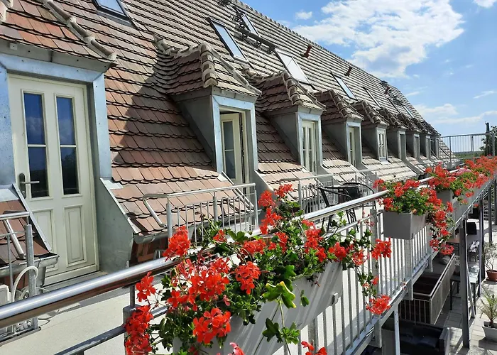 캠프장 Seenlandoase Reppist