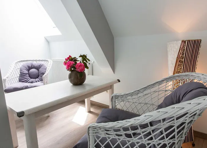 Seenlandoase Reppist Senftenberg