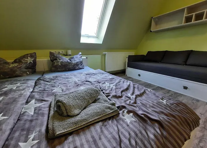 Seenlandoase Reppist Campsite