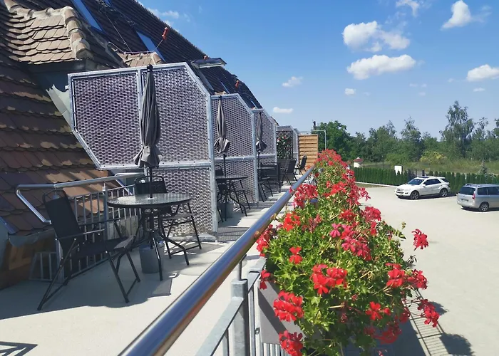 Campsite Seenlandoase Reppist Senftenberg